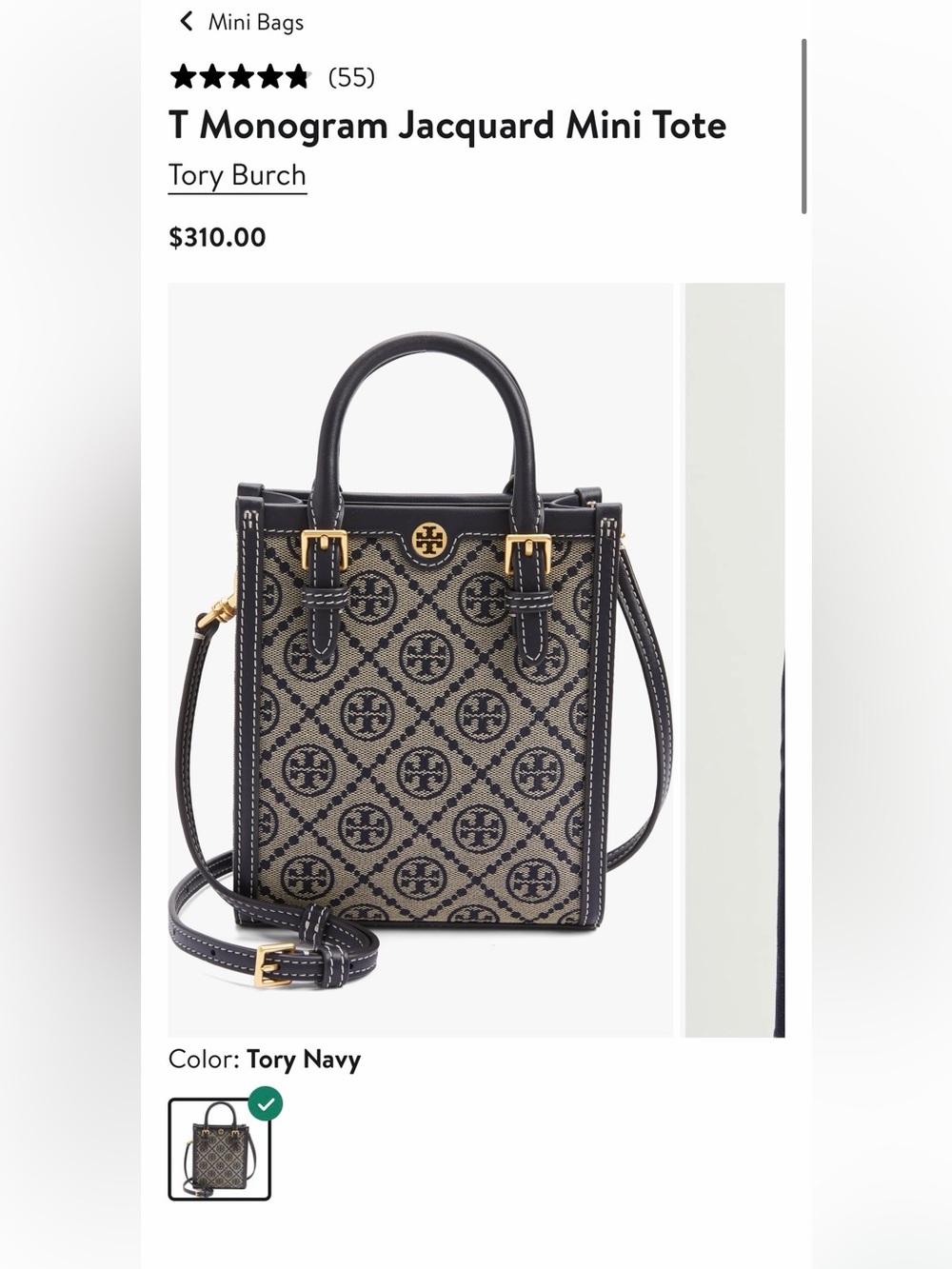 Tory Burch purse